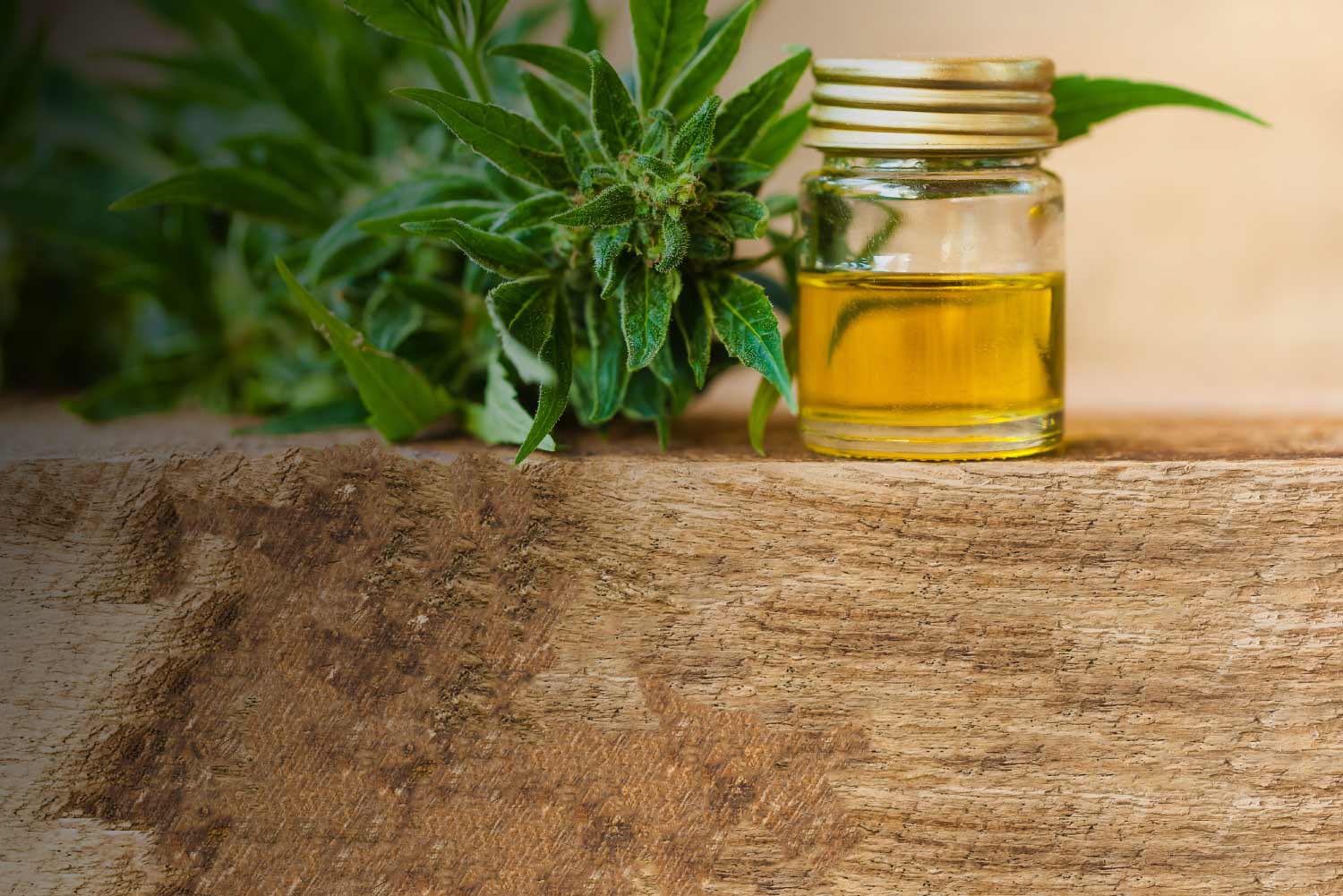cbd oil help in dealing with anxiety