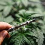 CBD carts